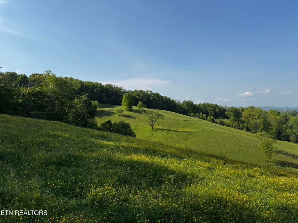 Photo of Baltimore Rd, Washburn, TN 37888 (MLS # 1299663)