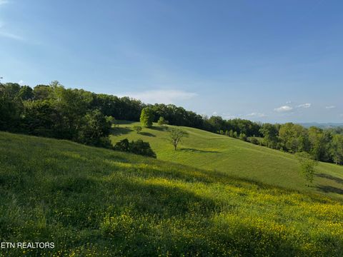Batimore Rd Washburn TN 37888