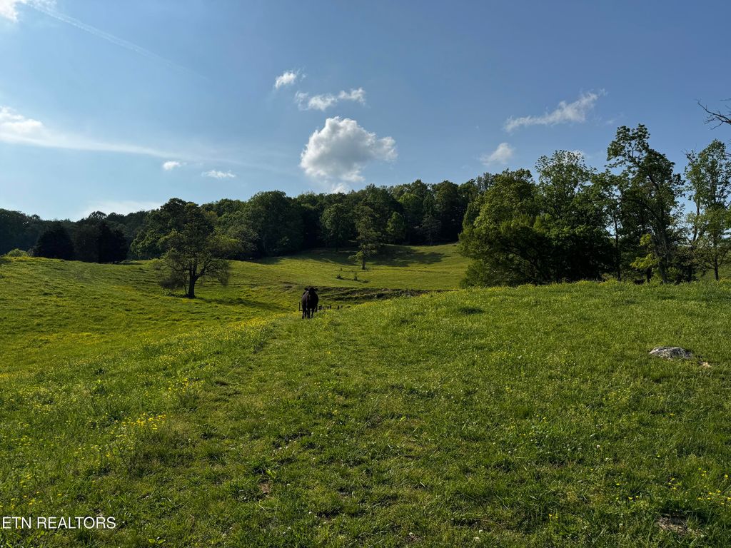 Photo of Baltimore Rd, Washburn, TN 37888 (MLS # 1299663)