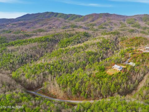 Tiny photo for 11 Branam Hollow Rd, Gatlinburg, TN 37738 (MLS # 1323942)