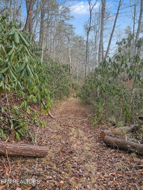 Tiny photo for 11 Branam Hollow Rd, Gatlinburg, TN 37738 (MLS # 1323942)