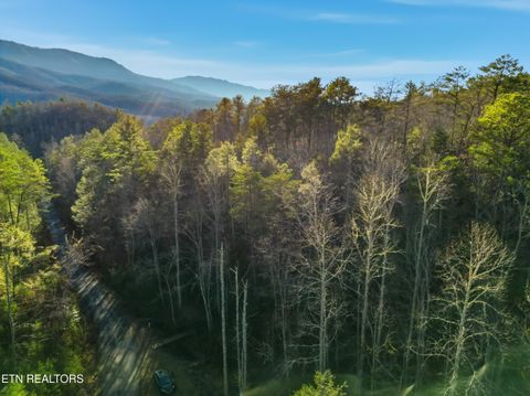 Tiny photo for 11 Branam Hollow Rd, Gatlinburg, TN 37738 (MLS # 1323942)