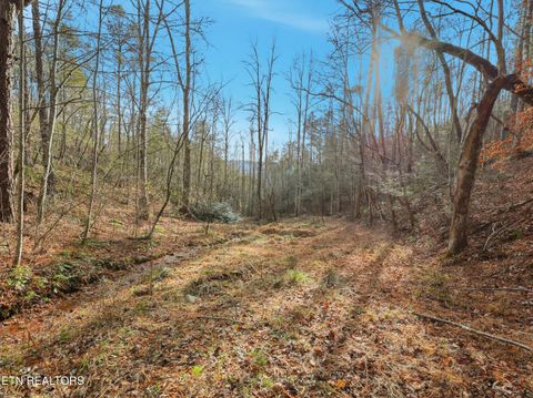 Tiny photo for 11 Branam Hollow Rd, Gatlinburg, TN 37738 (MLS # 1323942)