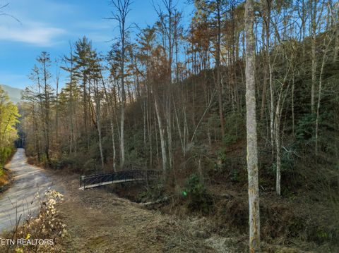 Tiny photo for 11 Branam Hollow Rd, Gatlinburg, TN 37738 (MLS # 1323942)