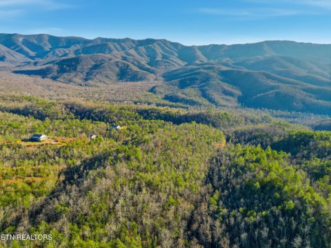 Tiny photo for 11 Branam Hollow Rd, Gatlinburg, TN 37738 (MLS # 1323942)