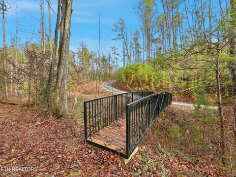 Tiny photo for 11 Branam Hollow Rd, Gatlinburg, TN 37738 (MLS # 1323942)