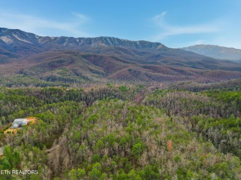 Tiny photo for 11 Branam Hollow Rd, Gatlinburg, TN 37738 (MLS # 1323942)