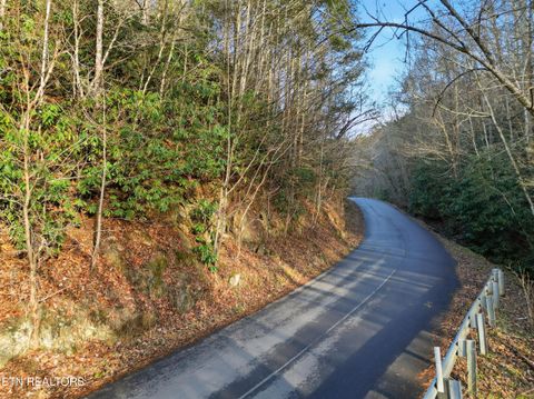 Tiny photo for 11 Branam Hollow Rd, Gatlinburg, TN 37738 (MLS # 1323942)