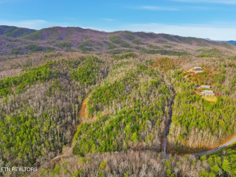 Tiny photo for 11 Branam Hollow Rd, Gatlinburg, TN 37738 (MLS # 1323942)