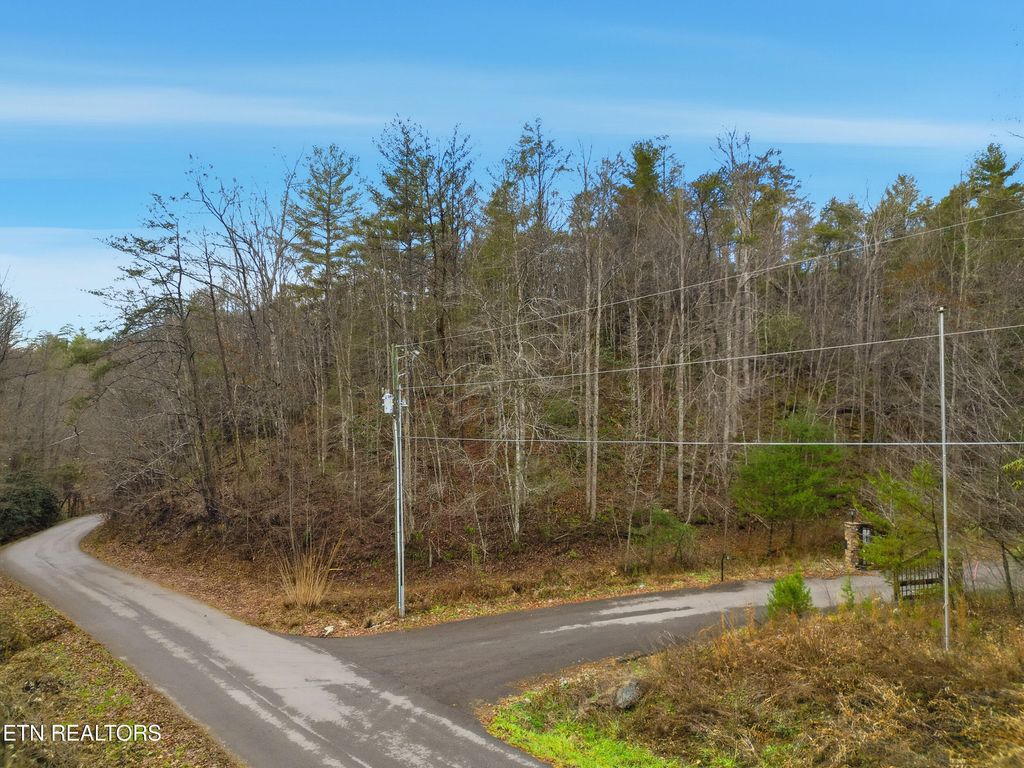Photo of 11 Branam Hollow Rd, Gatlinburg, TN 37738 (MLS # 1323942)