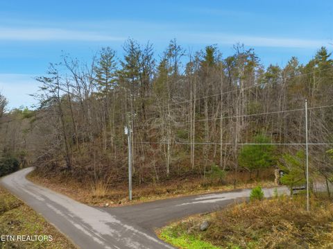 Tiny photo for 11 Branam Hollow Rd, Gatlinburg, TN 37738 (MLS # 1323942)
