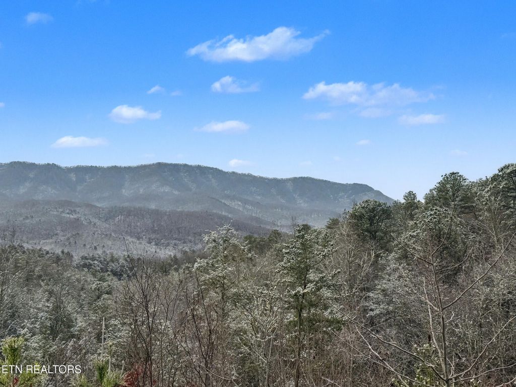 Photo of 11 Branam Hollow Rd, Gatlinburg, TN 37738 (MLS # 1323942)