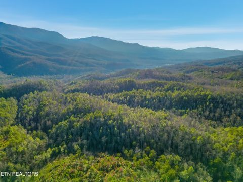 Tiny photo for 11 Branam Hollow Rd, Gatlinburg, TN 37738 (MLS # 1323942)