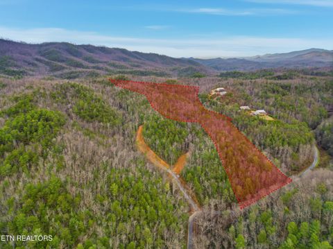 Tiny photo for 11 Branam Hollow Rd, Gatlinburg, TN 37738 (MLS # 1323942)