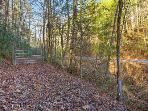 Tiny photo for 11 Branam Hollow Rd, Gatlinburg, TN 37738 (MLS # 1323942)