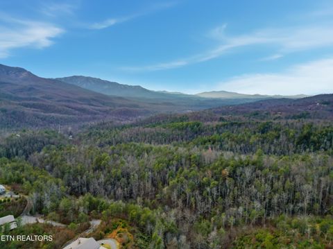 Tiny photo for 11 Branam Hollow Rd, Gatlinburg, TN 37738 (MLS # 1323942)