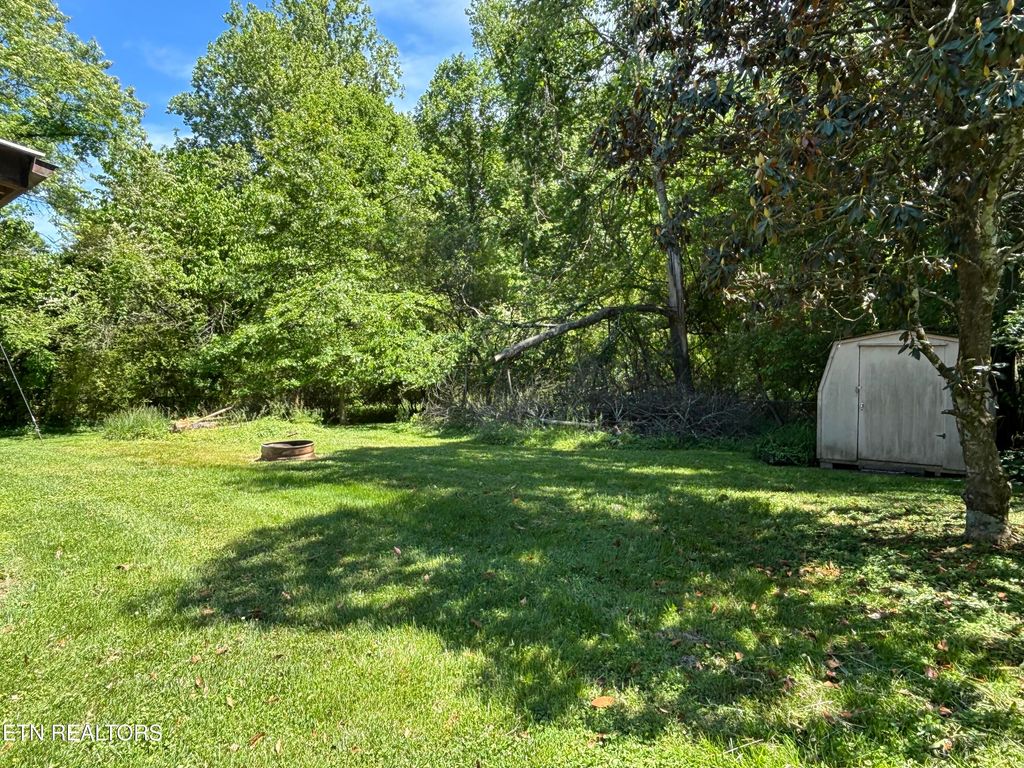 Photo of 157 Odd Fellow Cemetery Rd, Rockwood, TN 37854 (MLS # 1340225)