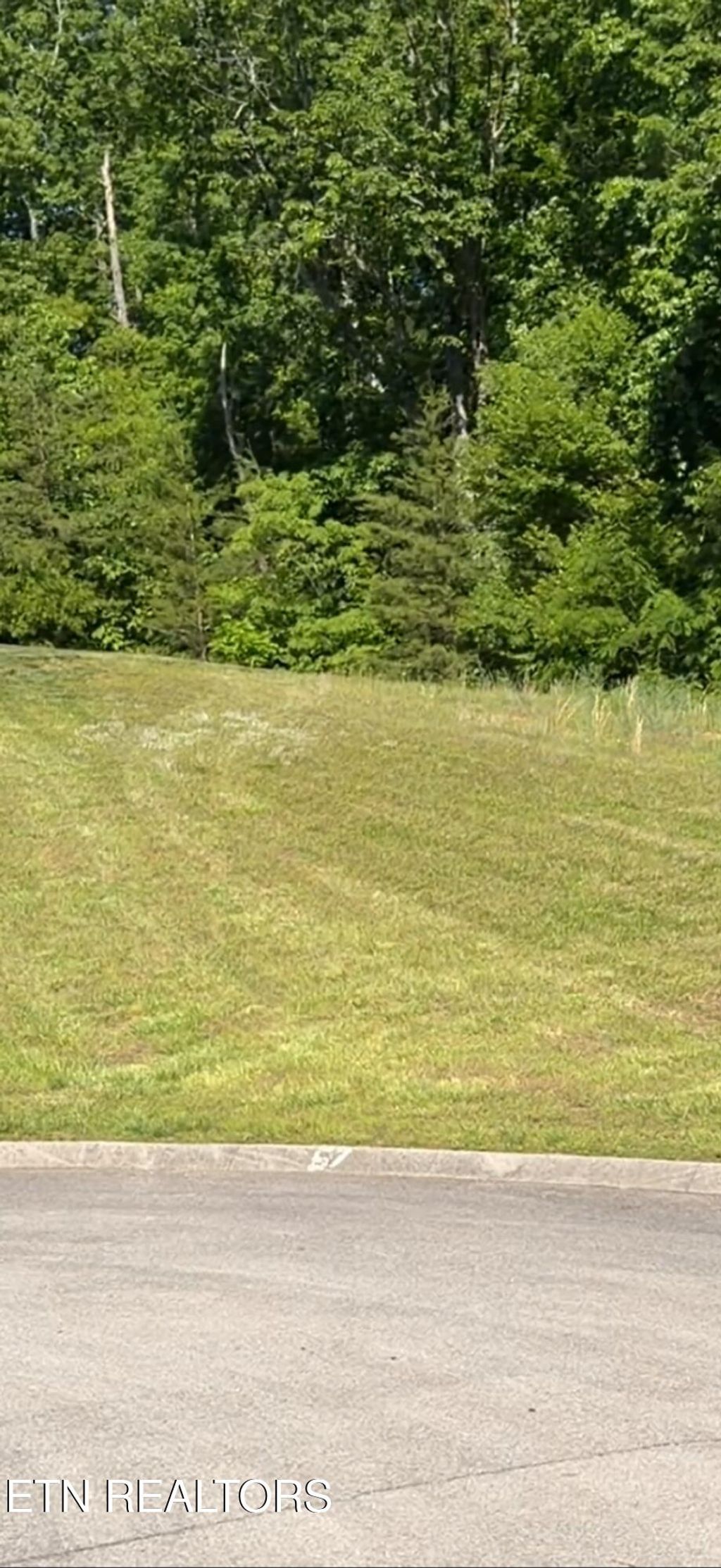 Photo of 6300 Coves Edge Tr, Russellville, TN 37860 (MLS # 1339678)