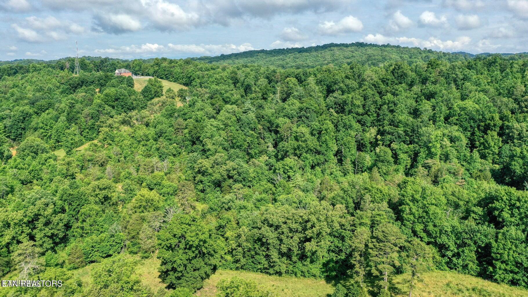 E Raccoon Valley Drive