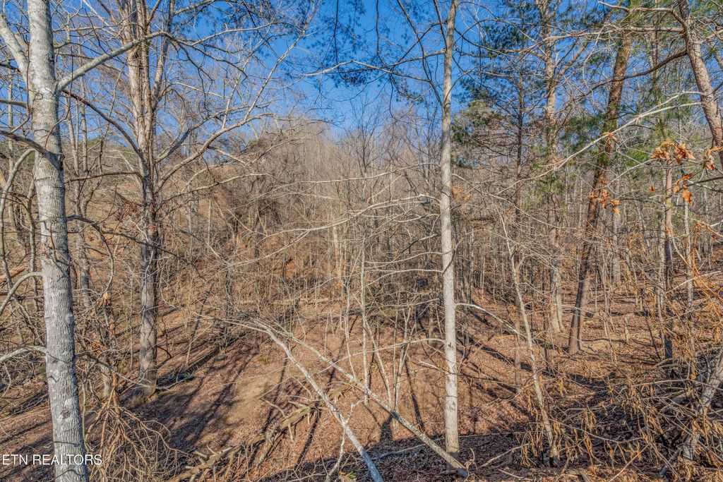 Photo of 509 Smokey Rd, Rutledge, TN 37861 (MLS # 1286052)