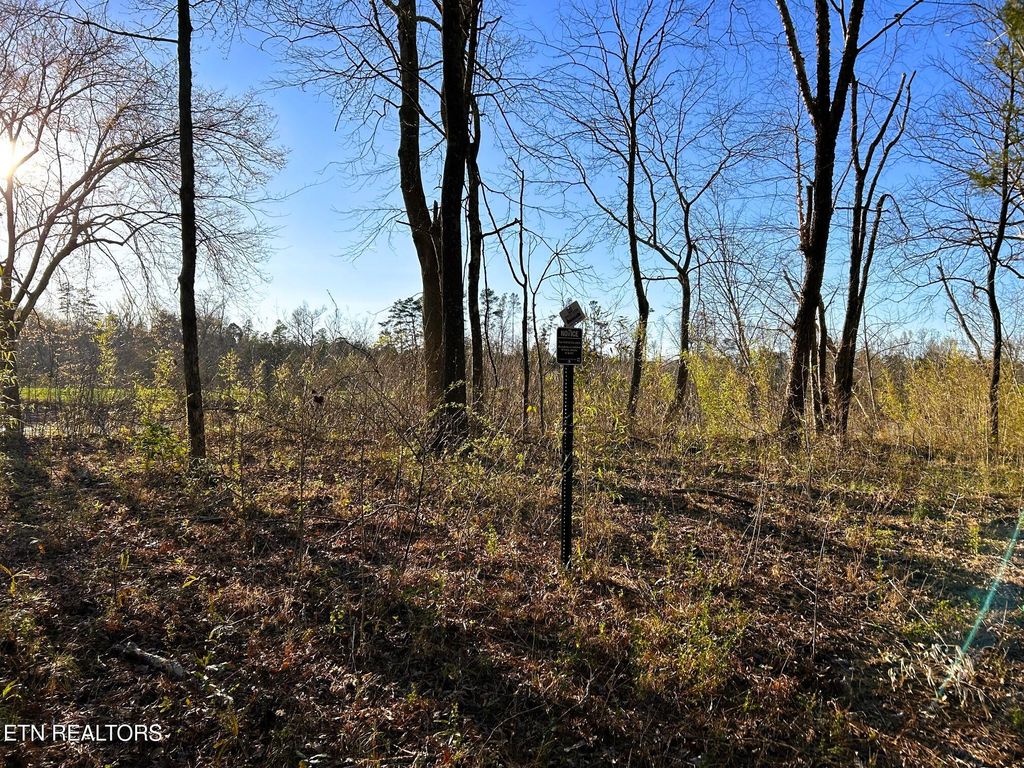 Photo of 4 County Road 950, Calhoun, TN 37309 (MLS # 1295394)