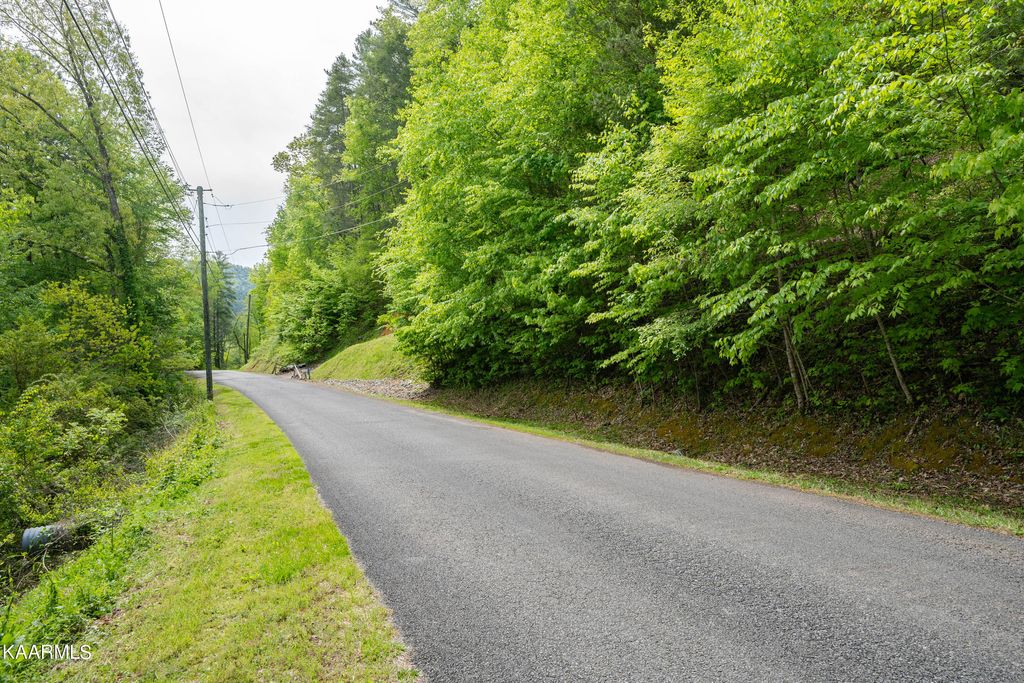 Photo of 220 Fox Hollow Rd, Townsend, TN 37882 (MLS # 1225725)