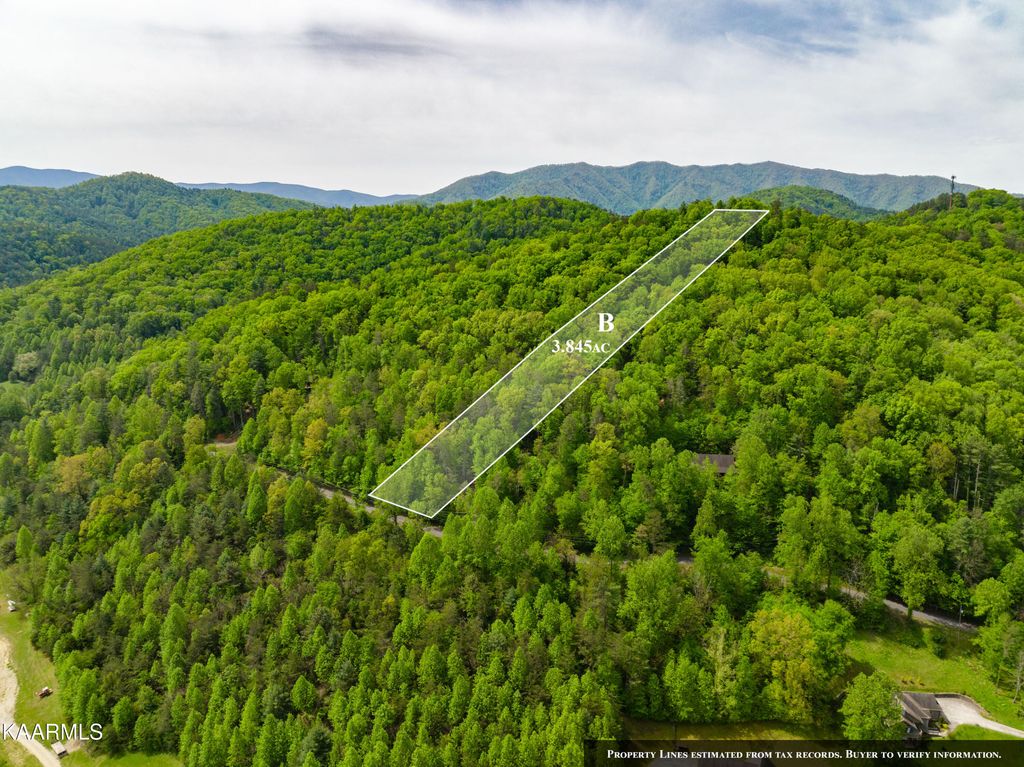 Photo of 220 Fox Hollow Rd, Townsend, TN 37882 (MLS # 1225725)