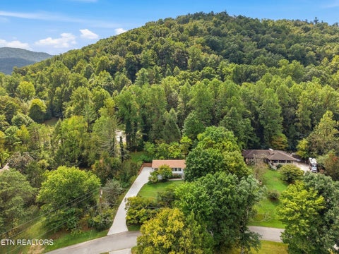 Tiny photo for 347 E Chestnut Hill Rd, Townsend, TN 37882 (MLS # 1355854)