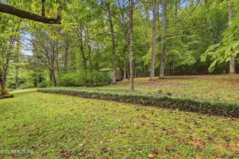Tiny photo for 347 E Chestnut Hill Rd, Townsend, TN 37882 (MLS # 1355854)