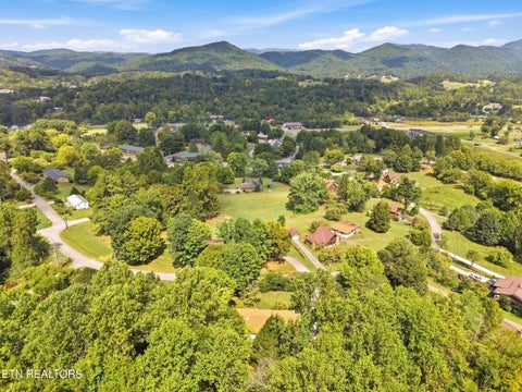 Tiny photo for 347 E Chestnut Hill Rd, Townsend, TN 37882 (MLS # 1355854)