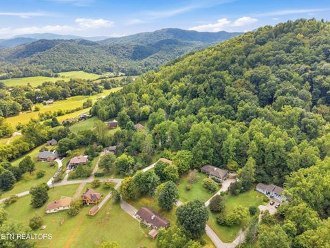 Tiny photo for 347 E Chestnut Hill Rd, Townsend, TN 37882 (MLS # 1355854)