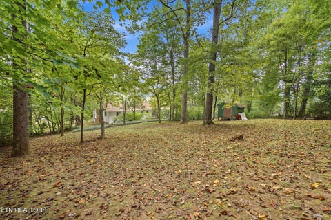 Tiny photo for 347 E Chestnut Hill Rd, Townsend, TN 37882 (MLS # 1355854)