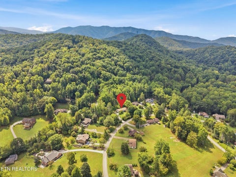 Tiny photo for 347 E Chestnut Hill Rd, Townsend, TN 37882 (MLS # 1355854)