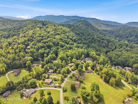 Tiny photo for 347 E Chestnut Hill Rd, Townsend, TN 37882 (MLS # 1355854)