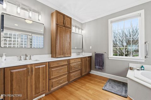 Tiny photo for 206 Wren Court, Vonore, TN 37885 (MLS # 1332400)