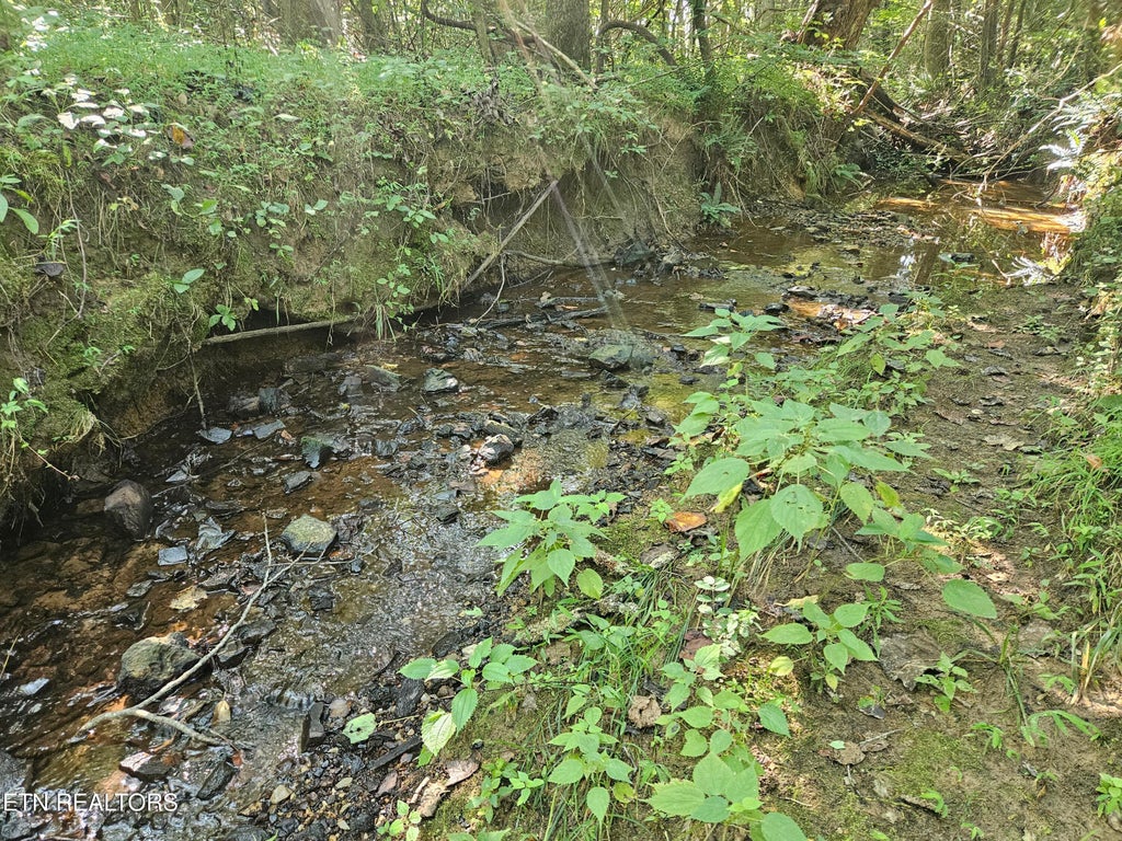 Photo of 2695 Cane Creek Rd, Cookeville, TN 38506 (MLS # 1354186)