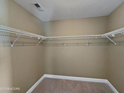 Tiny photo for 8400 Reality Lane, Corryton, TN 37721 (MLS # 1319428)