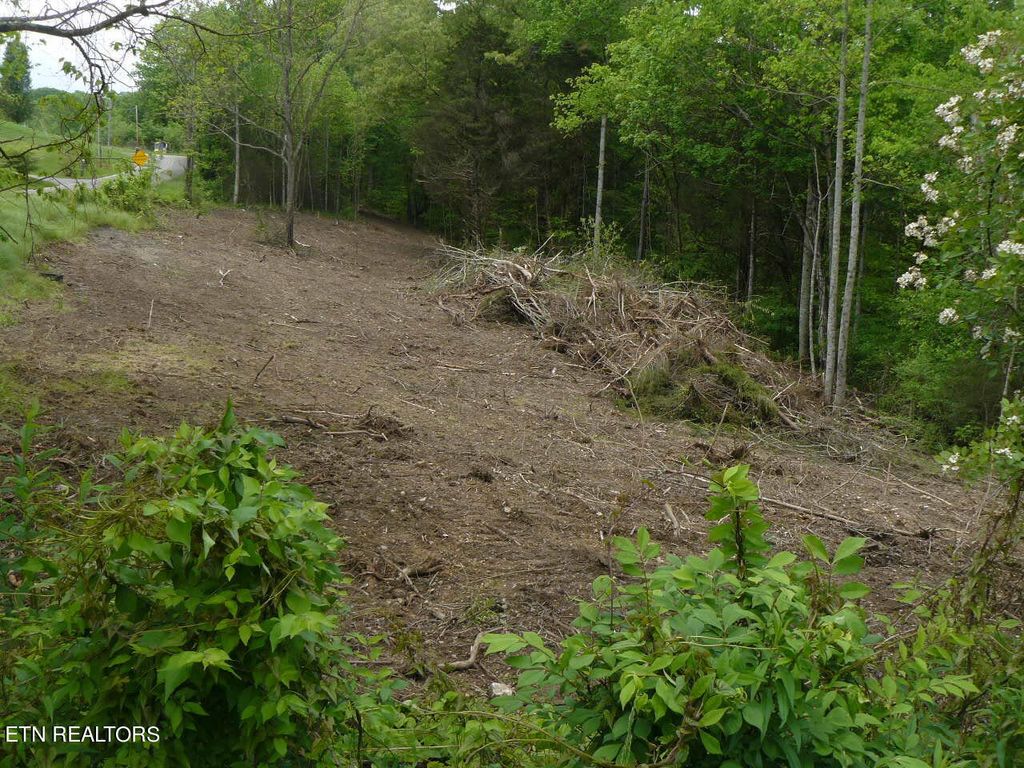 Photo of Murphy Mill Rd, Tazewell, TN 37879 (MLS # 1262194)