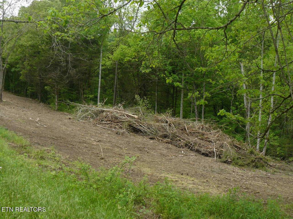 Photo of Murphy Mill Rd, Tazewell, TN 37879 (MLS # 1262194)