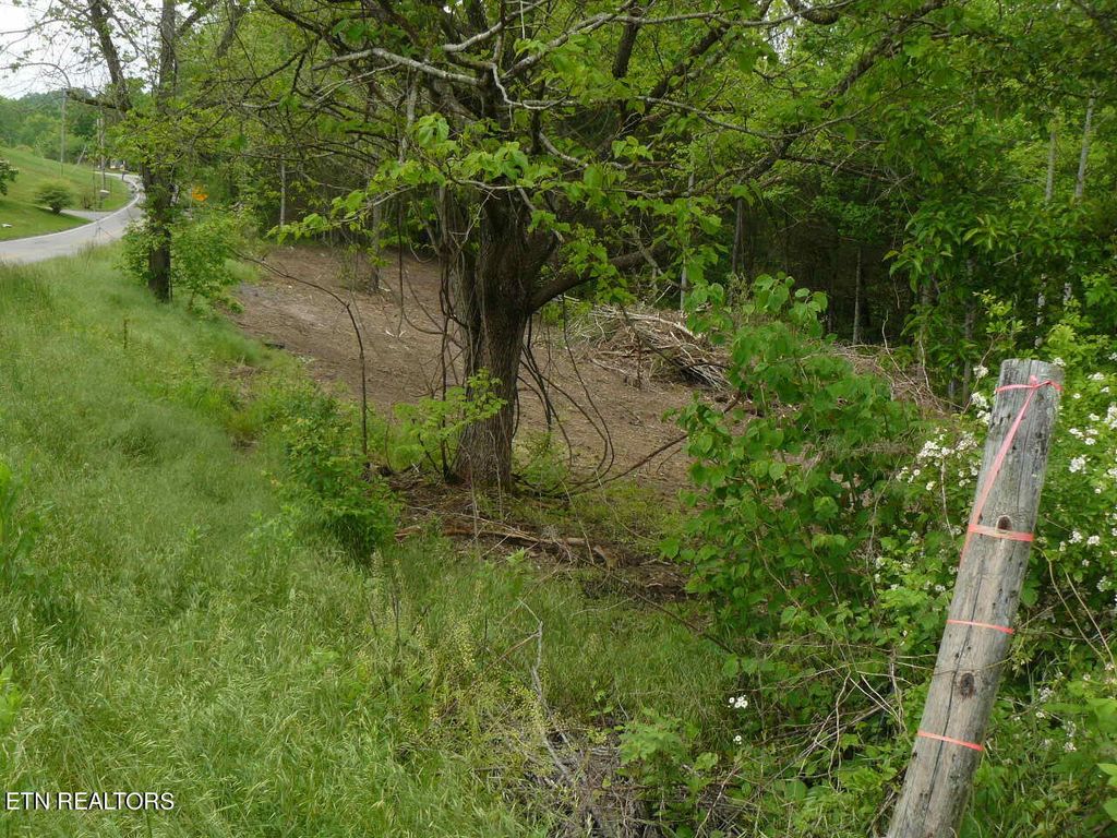 Photo of Murphy Mill Rd, Tazewell, TN 37879 (MLS # 1262194)
