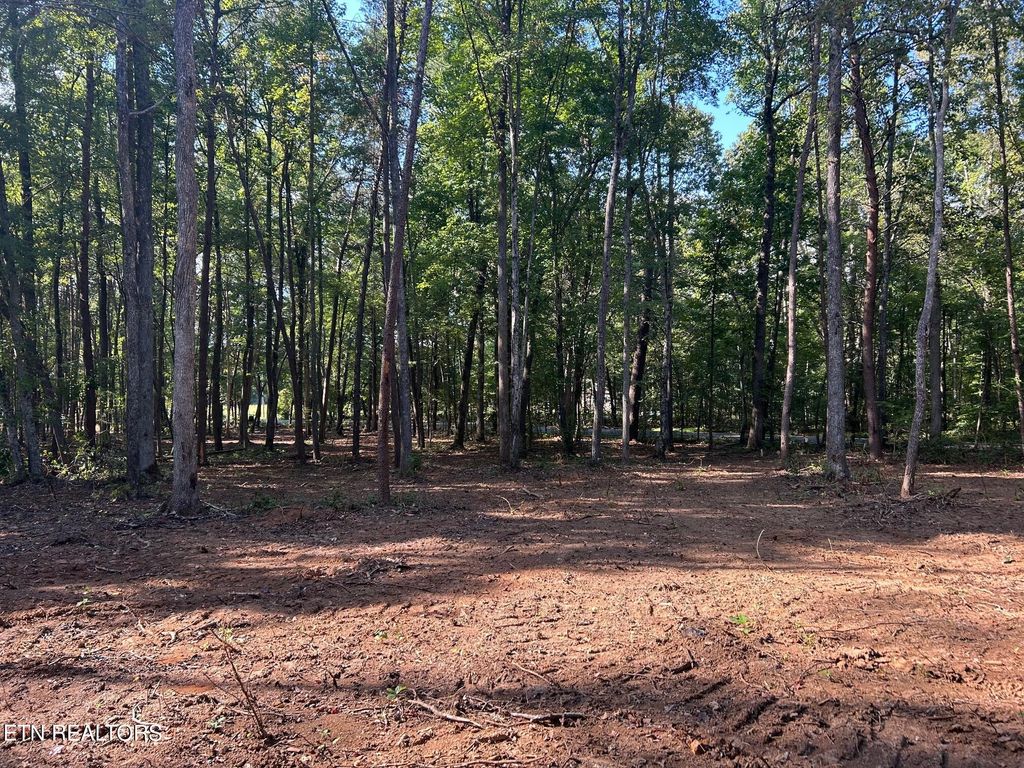 Photo of 6 Pleasant Hill Road, Ten Mile, TN 37880 (MLS # 1310731)