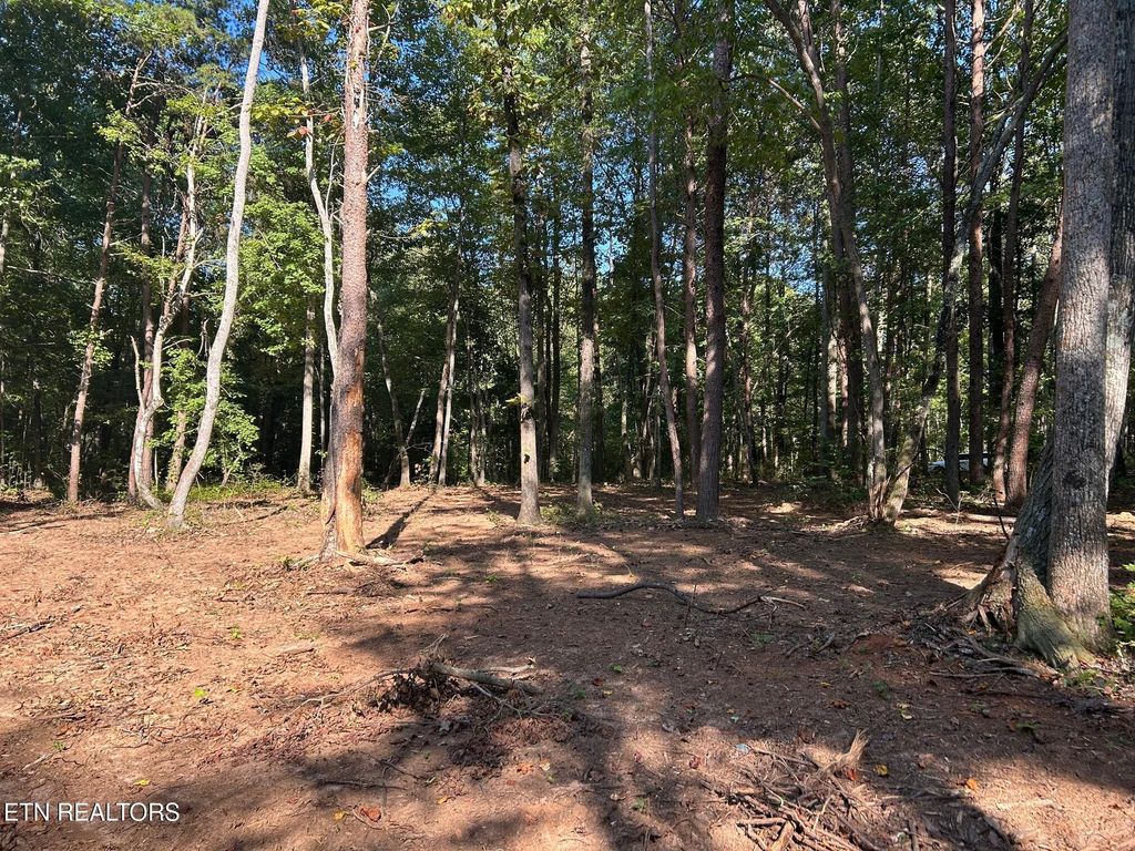 Photo of 6 Pleasant Hill Road, Ten Mile, TN 37880 (MLS # 1310731)