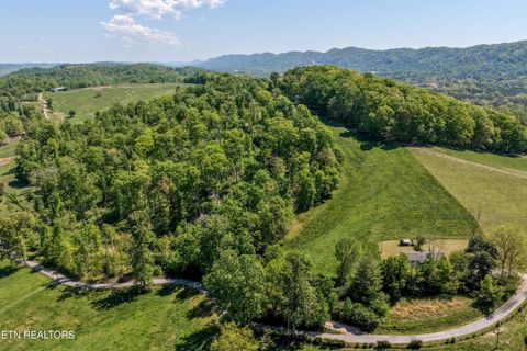 Tiny photo for 754 Beech Grove Rd, Thorn Hill, TN 37881 (MLS # 1338139)