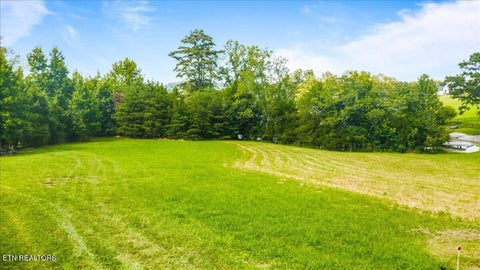 Tiny photo for 106 Grande Harbour Point, Rockwood, TN 37854 (MLS # 1350160)