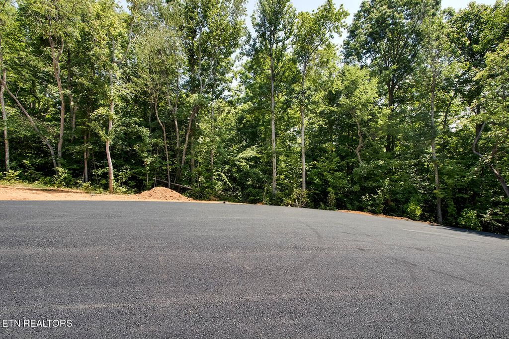 Photo of 199 Canter Way, Lenoir City, TN 37771 (MLS # 1315782)
