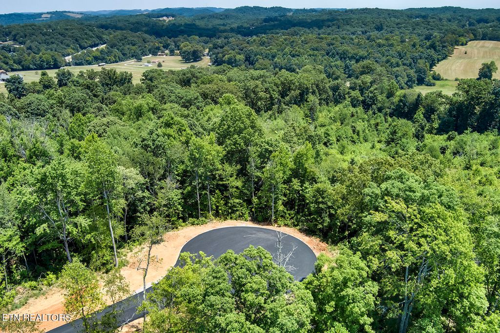 Photo of 199 Canter Way, Lenoir City, TN 37771 (MLS # 1315782)