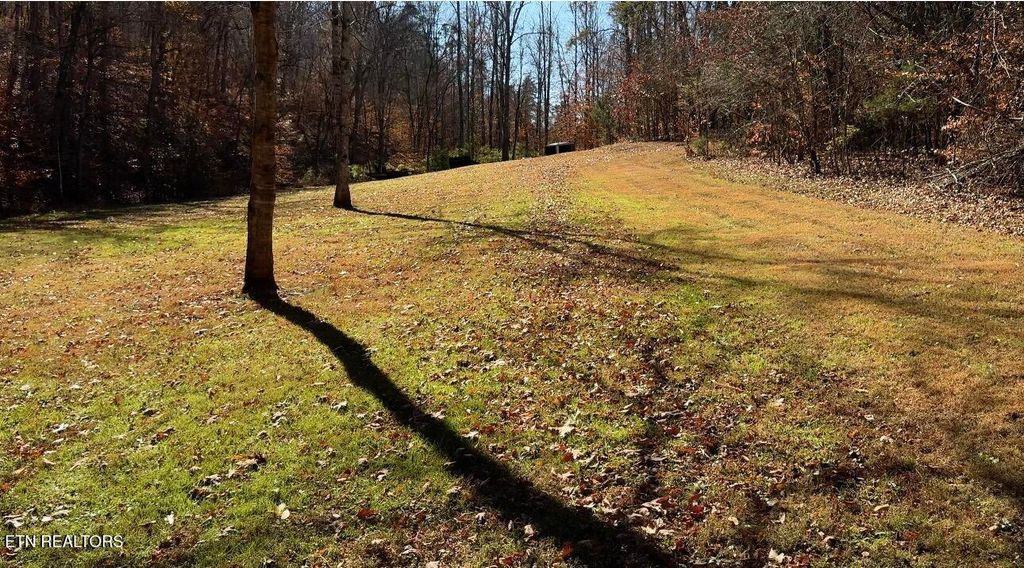 Photo of Thorngrove Pike, Kodak, TN 37764 (MLS # 1322133)