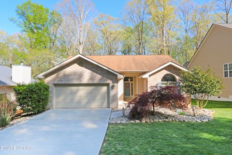 302 Paoli Trace Loudon TN 37774