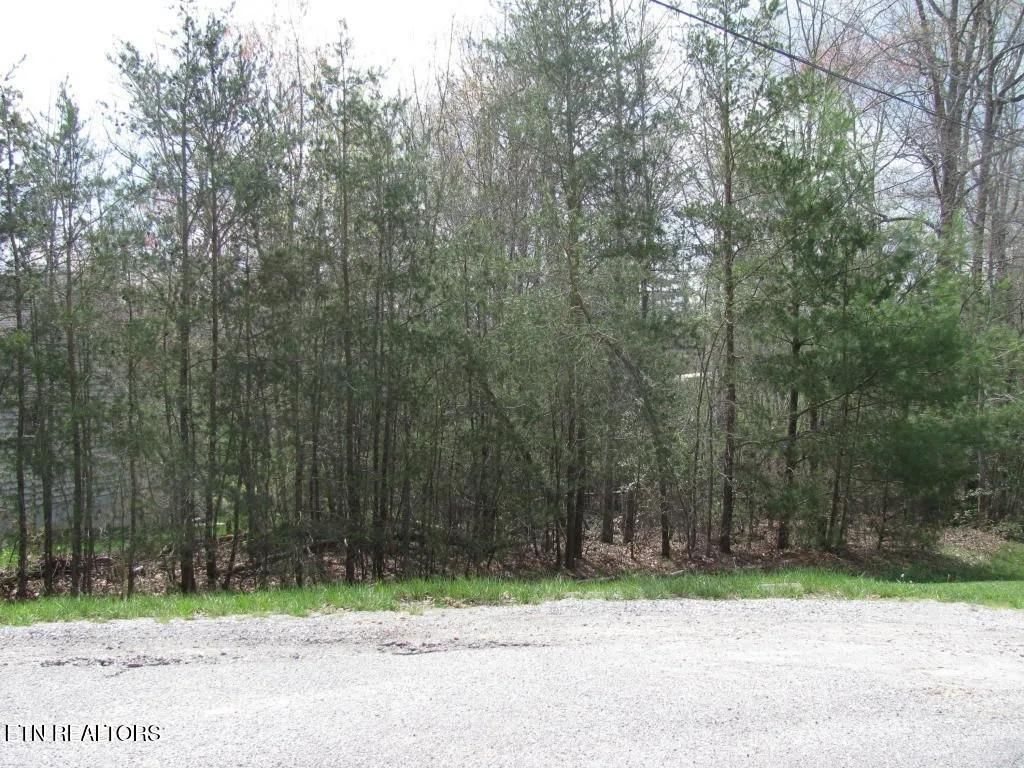 Photo of 15 Kenwood Court, Crossville, TN 38558 (MLS # 1323719)
