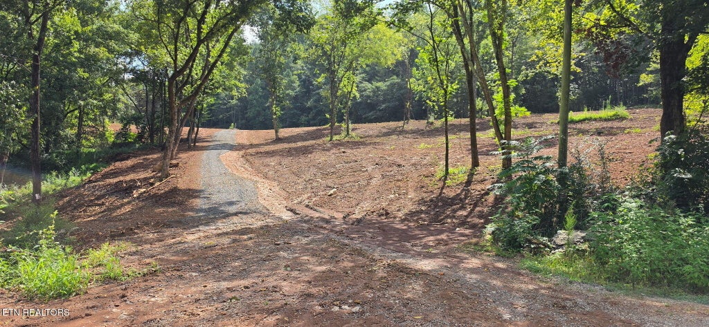 Photo of County Road 267, Niota, TN 37826 (MLS # 1352124)